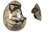 7.9" Septarian "Dragon Egg" Geode - Removable Section - #199992-2